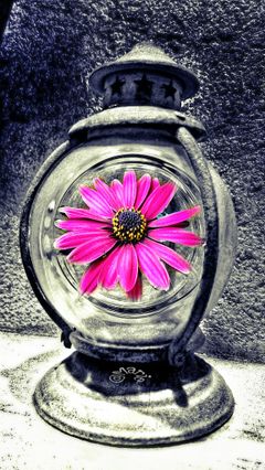 using the New Android update tool.... Copy and Paste .
The flower inside the lamp