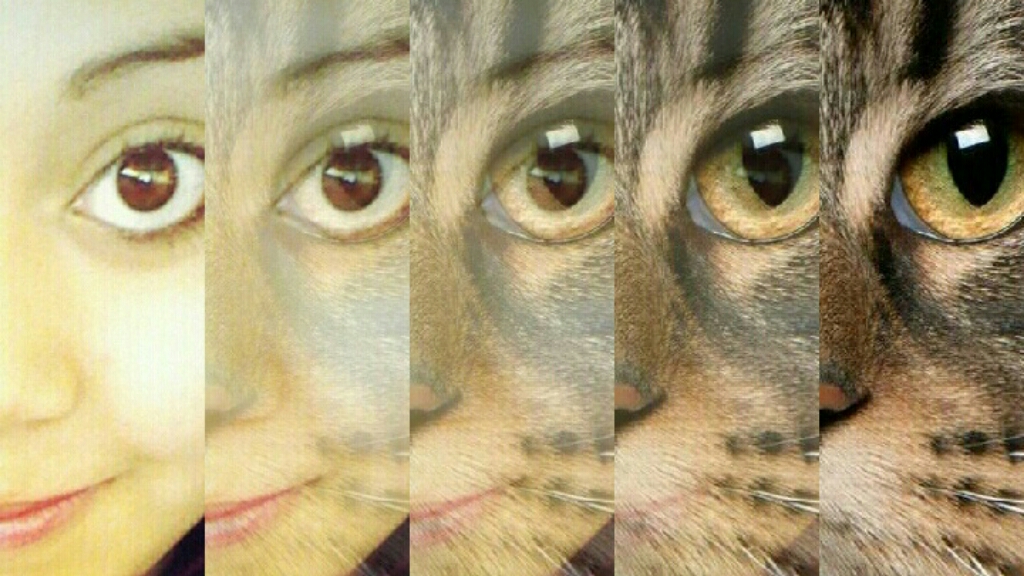 Picsart banner for @wen