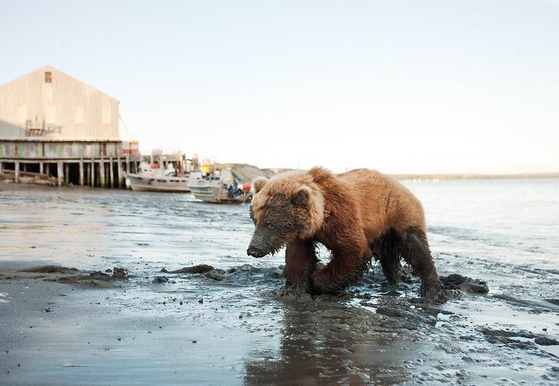 Fisherman Photographer Corey Arnold 